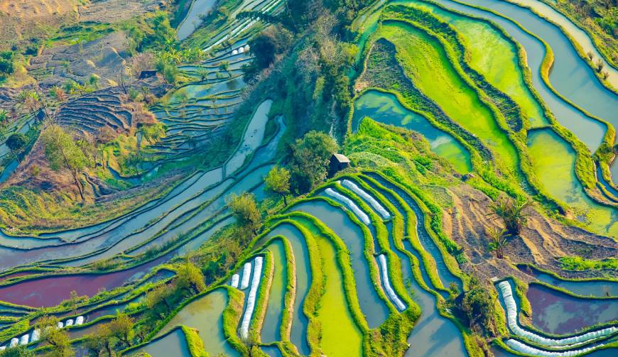 走进河口区TVC拍摄：解锁本地化场景与创意镜头的完美融合